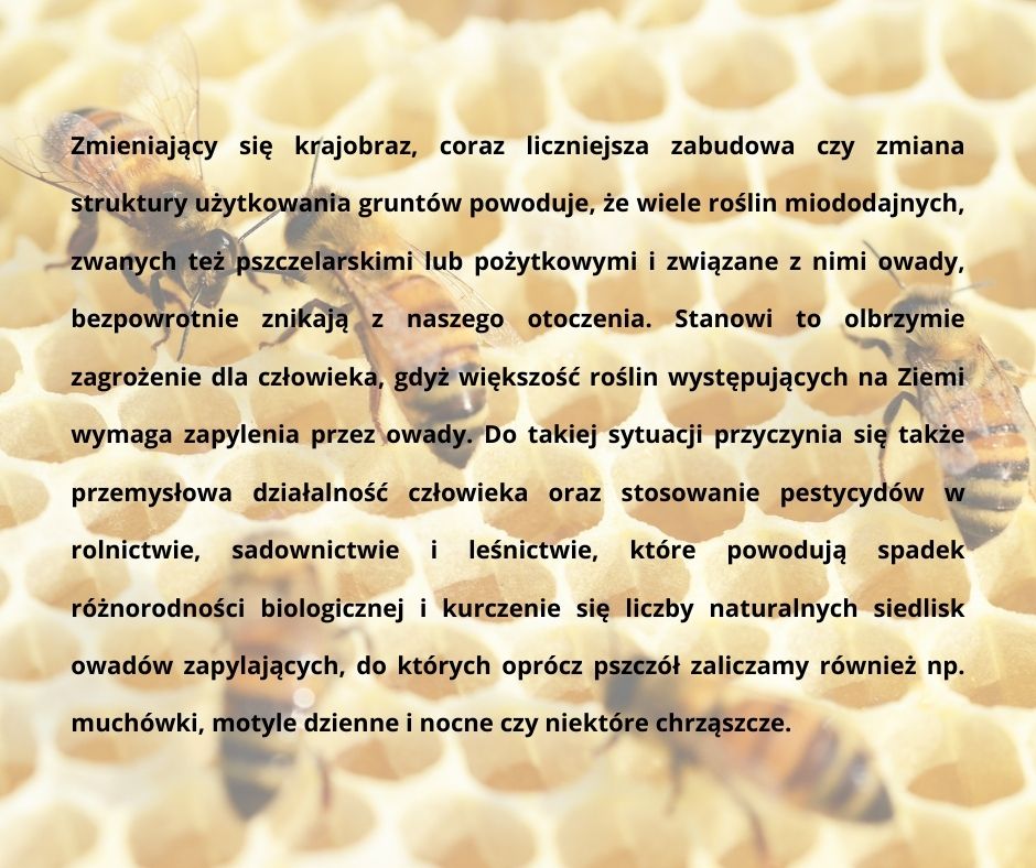 GRAFIKA